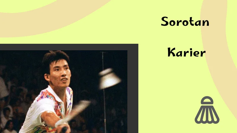 Sorotan Karier